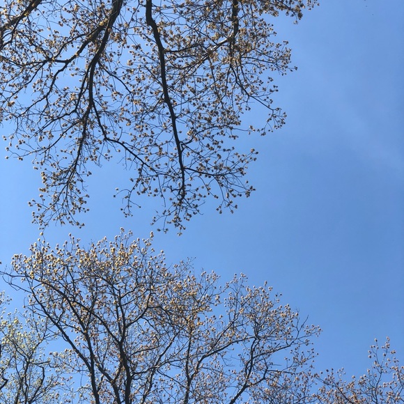 Meet your Posher, Rachel - Picture 1 of 1